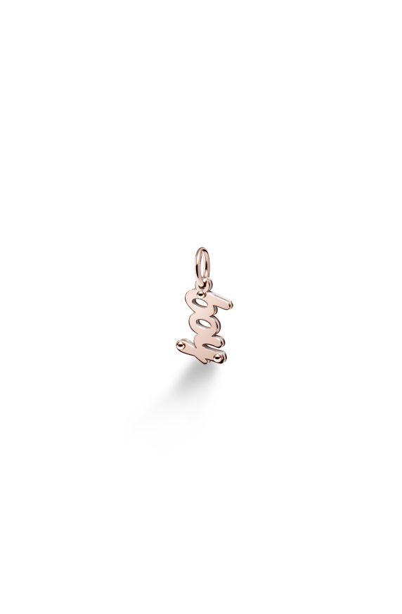 Charms ♡ Boy Argento e Oro Rosa 