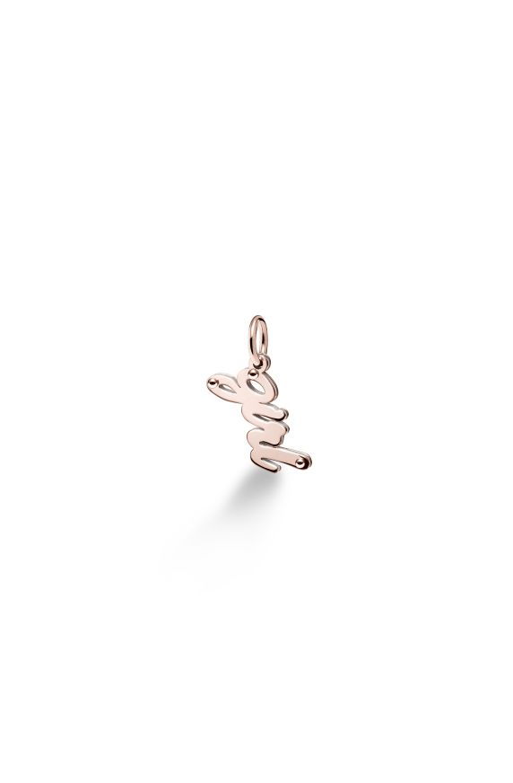 Charms ♡ Girl Argento e Oro Rosa