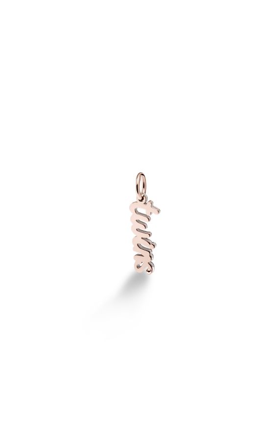Charms ♡ Twins Argento e Oro Rosa 